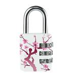 Kombinační visací zámek Master Lock 1509EURDAST - 30mm