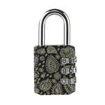 Kombinační visací zámek Master Lock 1509EURDAST - 30mm
